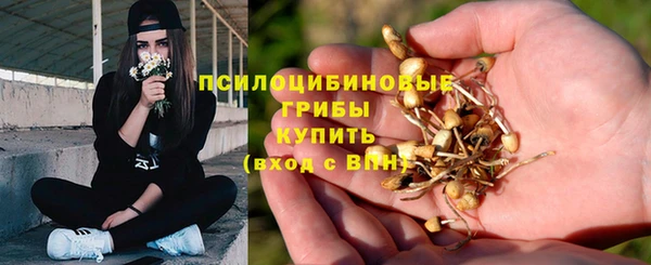 прущий лед Осташков