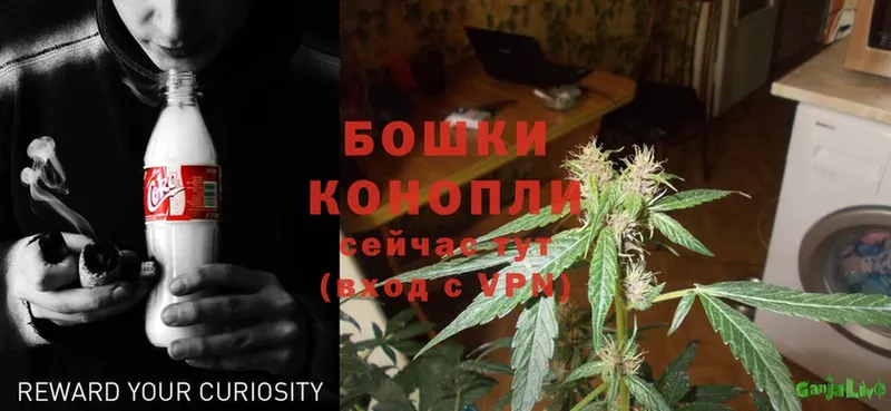 купить наркотики сайты  Ряжск  МАРИХУАНА OG Kush 